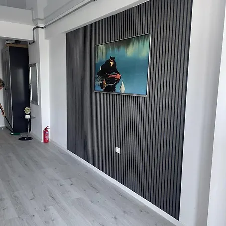 Alin Mandache Lejlighed